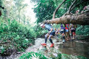 BIB: 
                            <button type="button" onclick="openModal(25456051)" class="btn btn-primary btn-sm float-right btn-popup" data-toggle="modal" data-target=".modal-high-quality">
                        <i class="fas fa-shopping-cart"></i> Add to Cart
                    </button>
                                            <button type="button" onclick="isThisMe(25456051, true)" class="btn btn-success btn-sm float-right btn-popup btn-isme hidden" data-toggle="tooltip" data-placement="bottom" title="นี่คือรูปของคุณใช่ไหม คลิกที่นี่เพื่อเอาเข้าอัลบั้ม">
                        <i class="fas fa-plus"></i> Add to album
                    </button>
                    <button type="button" onclick="isThisMe(25456051, false)" class="btn btn-warning btn-sm float-right btn-popup btn-isnotme hidden">
                        <i class="fas fa-ban"></i> Remove from album
                    </button>